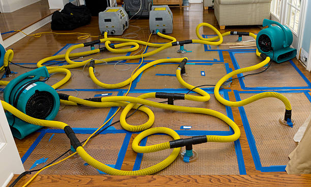 Professional Crawl Space Water Removal technician working in Breckenridge, MI